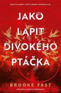 Jako lapit divokého ptáčka