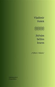 Jitřním běžím lesem