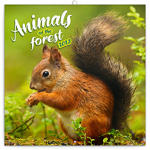 Kalendář 2023 poznámkový: Zvířátka z lesa, 30 × 30 cm