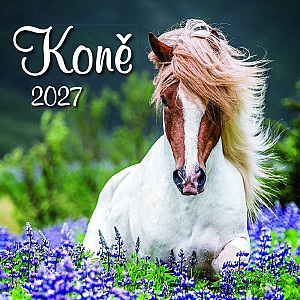 Kalendář 2027 nástěnný: KONĚ