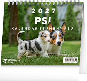Kalendář 2027 stolní: Psi - se jmény psů, 16,5 x 13 cm