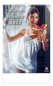 Kalendář nástěnný 2023 - Charm of the Moment, Exclusive Edition