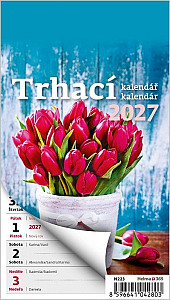 Kalendář nástěnný 2027 - Týdenní trhací A6