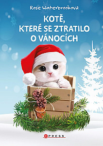 Kotě, které se ztratilo o Vánocích