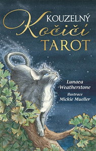 Kouzelný kočičí tarot