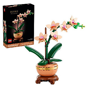 LEGO® Botanicals 10343 Miniaturní orchidej