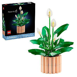 LEGO® Botanicals 11504 Lopatkovec