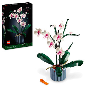 LEGO® Icons 10311 Orchidej