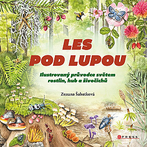 Les pod lupou