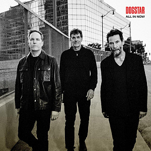 LP Dogstar: All In Now
