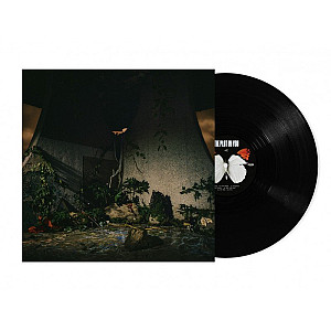 LP The Plot In You: The Plot In You