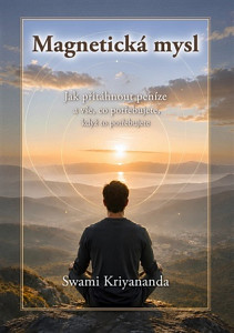 Magnetická mysl