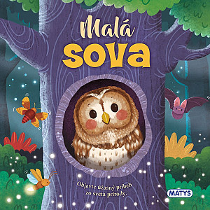 Malá sova