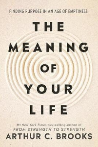 Meaning of Your Life