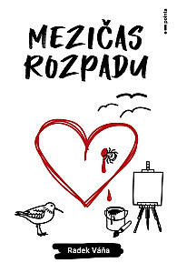 Mezičas rozpadu