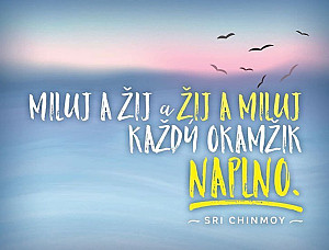 Plechová cedulka - Miluj a žij a žij a miluj každý okamžik naplno