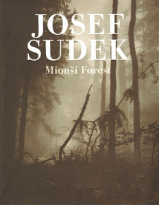 Mionší Forest