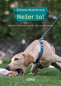 Nežer to! Naučte svého psa nežrat vše, co kde najde