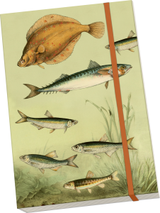 Notýsek Nordic Fishes