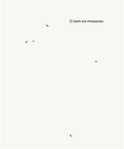 O čem sní mravenec