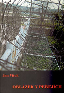 Oblázek v peřejích