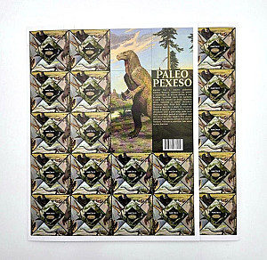 Paleo pexeso (64 dílků)