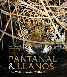 Pantanal and Llanos