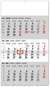 Kalendář 2026 nástěnný: 3měsíční standard šedý - s českými jmény, 29,5 x 43 cm