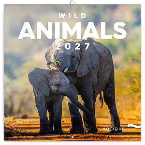 Kalendář 2027 poznámkový: Divoká zvířata, 30 x 30 cm