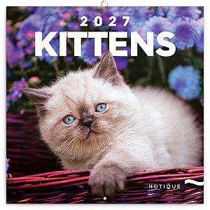 NOTIQUE Grid calendar Kittens 2027, 30 x 30 cm