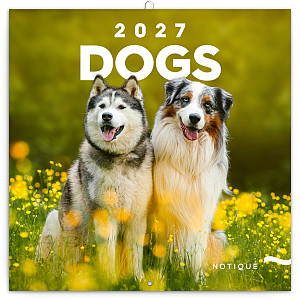 Kalendář 2027 poznámkový: Psi 2027, 30 x 30 cm