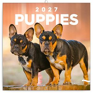 Kalendář 2027 poznámkový: Štěňata, 30 x 30 cm