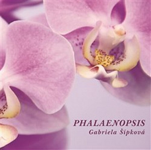 Phalaenopis