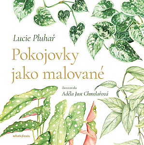 Pokojovky jako malované