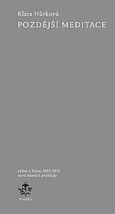 Pozdější meditace