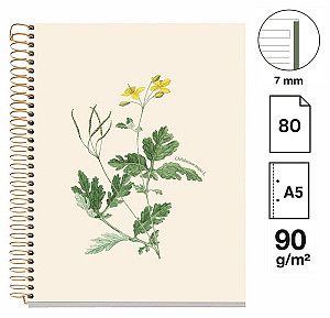 Poznámkový blok Entredos NB-1, A5, 90g, karton, 80 listů, linka - Chelindonium