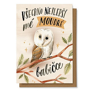 Přání - Včechno nejlepší mé moudré babičce