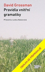 Pravidla vnitřní gramatiky