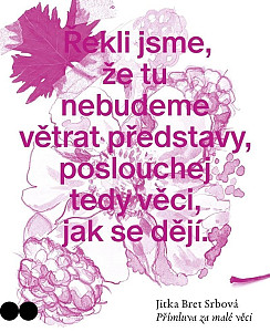 Přímluva za malé věci