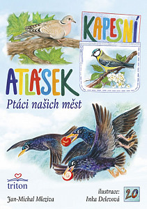 Ptáci našich měst