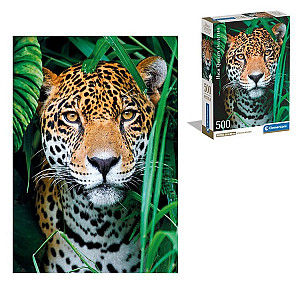 Puzzle Jaguár v džungli Compact 500 dílků