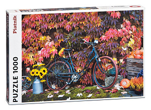 Puzzle Kouzlo podzimu 1000 dílků