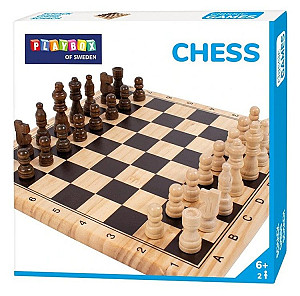 Šachy - společenská hra