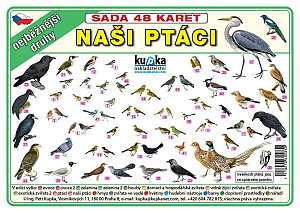 Sada 48 karet - Naši ptáci