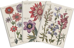 Sada tří notýsků Blue Flowers