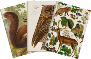 Sada tří notýsků Forest Animals