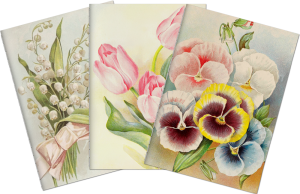 Sada tří notýsků Pastel Spring