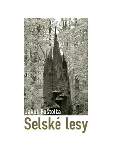 Selské lesy