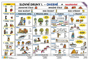 Slovní druhy - Slovesa