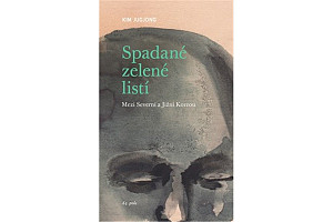 Spadané zelené listí